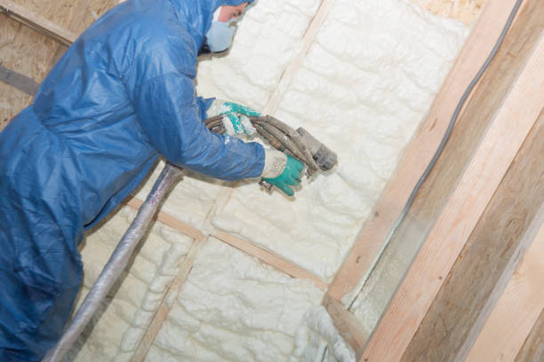 Insulation Air Sealing in Columbia, CA